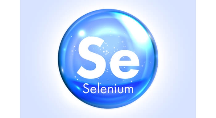Seleniumアイコン