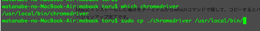 chromedriverの場所がわからない時はwhichコマンドで場所を知る