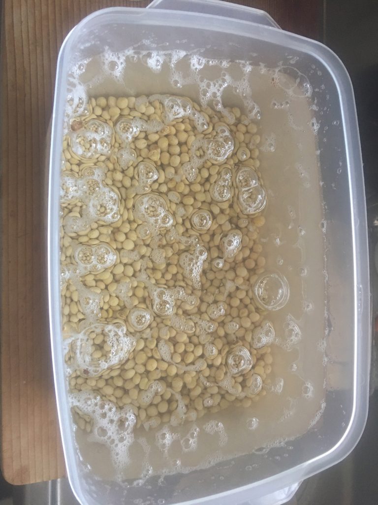 水で大豆を戻します